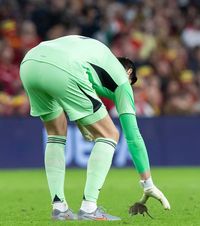 Moment bizar în preliminarii    FOTO.  Meciul Țara Galilor - Belgia, întrerupt după ce   un șobolan  a pătruns pe gazon: „Omul meciului!”