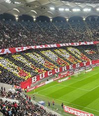 Atmosferă incandescentă pe Arenă  Peste 30.000 de oameni la   Dinamo - Rapid:  spectacol, dar și scene rușinoase! 