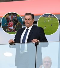 „Intervenție incorectă a VAR”    Explicațiile lui Kyros Vassaras,  după fazele controversate din etapa #16: „Acordare greșită a unui penalty”