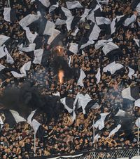 Tragedie în Serbia  Unul din liderii galeriei lui Partizan   a fost asasinat  în plină stradă 