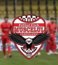 La un pas de colaps  O echipă din Liga 2   s-ar putea retrage  în mijlocul sezonului! Cer sprijinul Primăriei