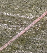 Liniile roz, pericol pentru VAR   Probleme înaintea meciului pe care FCSB voia să îl boicoteze:   ce au făcut organizatorii,  la Mioveni