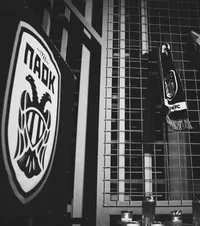 Decizie radicală după dramă  Ce au făcut fanii lui PAOK după ce șapte suporteri au murit în România.   Altă tragedie a lovit clubul