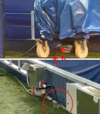 Șobolani pe Camp Nou!  Continuă problemele pe stadionul   Barcelonei,  a cărui renovare a costat 1,5 miliarde de euro