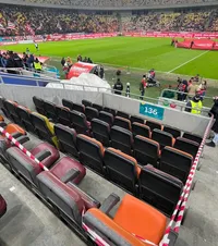 „Câinilor” le e teamă de amenzi    FOTO.  Dinamo a luat măsuri de urgență pe Arena Națională, după   incidentul șocant cu Baiaram