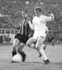 „Saliva ca un câine turbat”    Sistemul de dopaj creat la marele Inter Milano  reapare în cartea unui jurnalist irlandez: „Erau bombe”