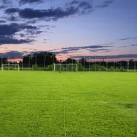 Investiție majoră în comună   N-are echipă în primele trei ligi, dar va avea gazon   mai scump  decât cel de pe Arena Națională!