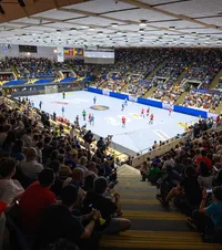 Lămuriri în scandalul biletelor  CSM București răspunde   nemulțumirilor fanilor  cu privire la Final Four: „Nu reprezintă un tratament diferențiat”