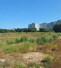  „Cât e biletul în savană?”  Locul unde ar trebui să se construiască    noul stadion al echipei de tradiție  e acoperit de vegetație