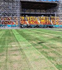 Arena Națională, la 3 luni de la blocare   FOTO:  Cum arată  gazonul  de pe stadion după evenimentele găzduite