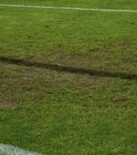 Gazonul a cedat definitiv   Imagini alarmante de pe Arcul de Triumf!  Dinamo - U Cluj se joacă pe un teren făcut praf