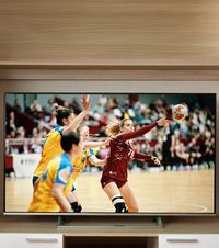 Handbalul românesc la TV  În afară de TVR,  încă un post  a obținut drepturile de televizare