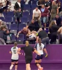 Scene șocante la handbal    FOTO.  Părinții  s-au luat la bătaie  în tribune la un meci de juniori din Timișoara