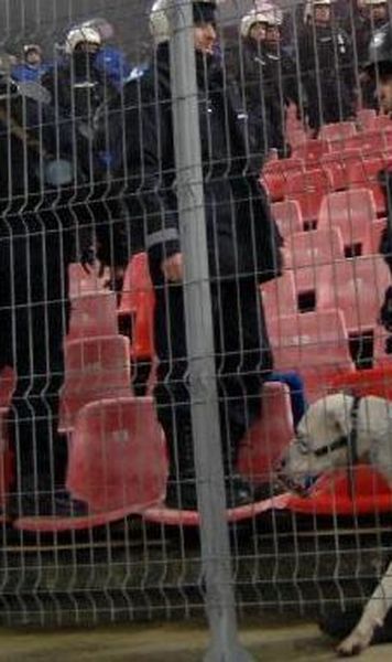 700 de jandarmi vor asigura ordinea la meciul Rapid-Steaua, in Cupa Romaniei