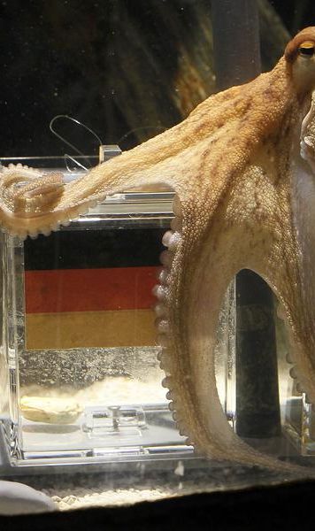 Caracatita Paul a ales - Germania va castiga finala mica