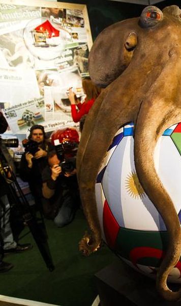 Caracatita Paul are statuie in Germania