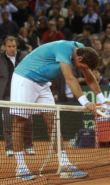 Cupa Davis  ​Spania - Argentina 2-0/ Ferrer, victorie dupa un meci-maraton cu Del Potro