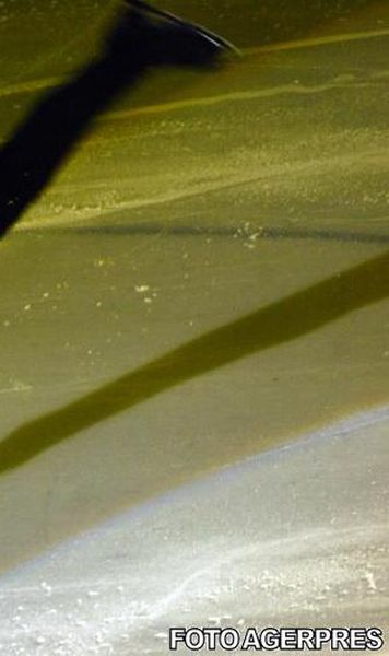 Patinaj artistic: Evgheni Plusenko, campion european; Zoltan Kelemen, locul 14