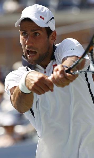 US Open: Novak Djokovic, David Ferrer si Andy Roddick, in turul trei