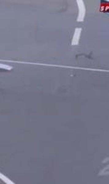 ​VIDEO Pilotul Allan Simonsen a murit dupa un accident suferit in timpul cursei de la Le Mans