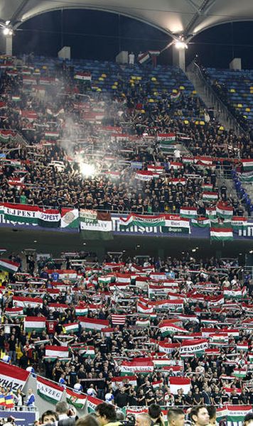 BGS (firma care ar fi trebuit sa asigure ordinea la Romania - Ungaria) a reziliat contractul cu FRF