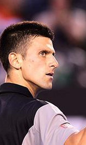 Australian Open (m): Djokovic, Ferrer, Wawrinka, Gasquet si Berdych, in turul doi