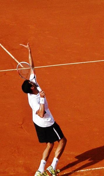 BRD Nastase Tiriac Trophy: Victor Hanescu, eliminat in turul doi de Gilles Simon