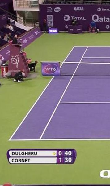 VIDEO Alize Cornet a reusit "lovitura zilei" impotriva Alexandrei Dulgheru