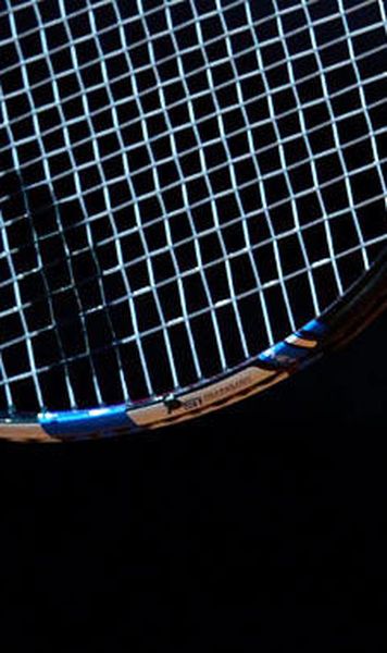 WTA Stuttgart: Sara Errani, viitoarea adversara a Simonei Halep in sferturi