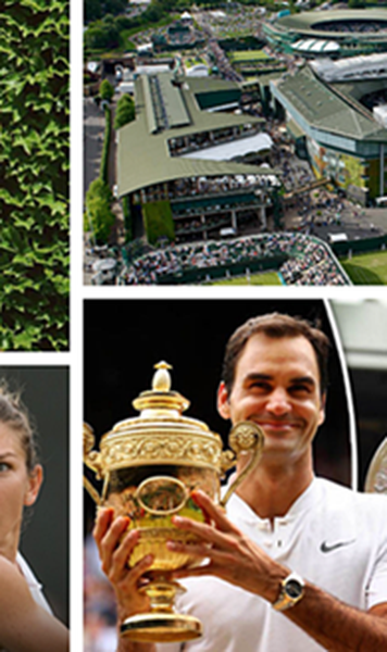 ​PREZENTARE Wimbledon 2018: Splendoare în iarba londoneză - Simona Halep și eliberarea presiunii; Roger Federer, pictura și tinerețea fără bătrânețe