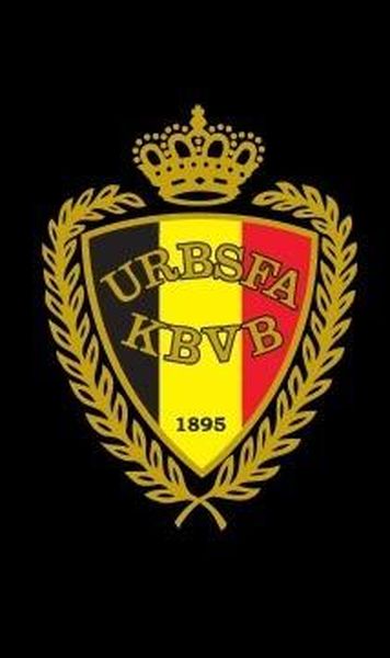 Fotbal: Percheziţii la clubul Anderlecht şi la Federaţia belgiană