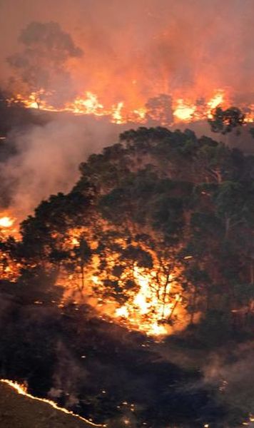 ATP: Jucătorii au donat jumătate de milion de dolari după incendiile devastatoare din Australia