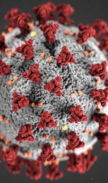 Noi cercetări dezvăluie riscul crescut pentru sportivi în cazul infectării cu coronavirus