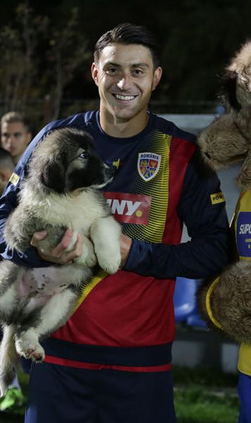 VIDEO Noua mascotă a naționalei de fotbal a României