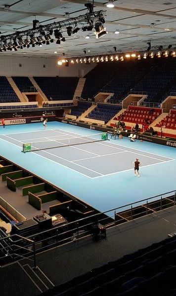 Sala Polivalentă din București își va schimba numele, anunță Eduard Novak