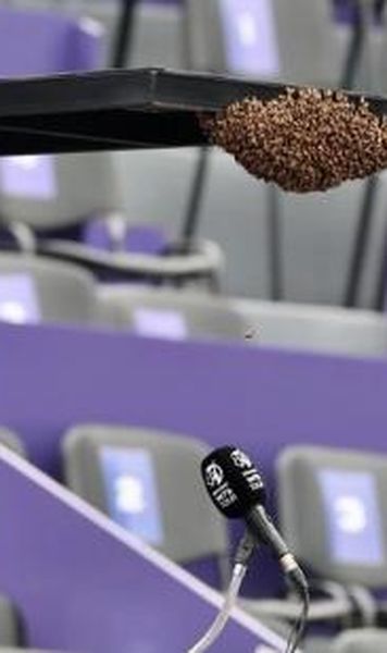 VIDEO Ciudatul motiv pentru care un meci de la WTA Guadalajara a fost amânat - Petra Kvitova: „Nu am văzut așa ceva în toată cariera”