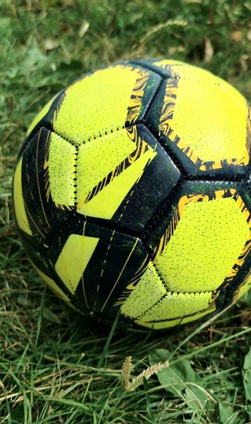 2.Bundesliga: Wehen Wiesbaden vs Jahn Regensburg - Gazdele, favorite la câştigarea barajului