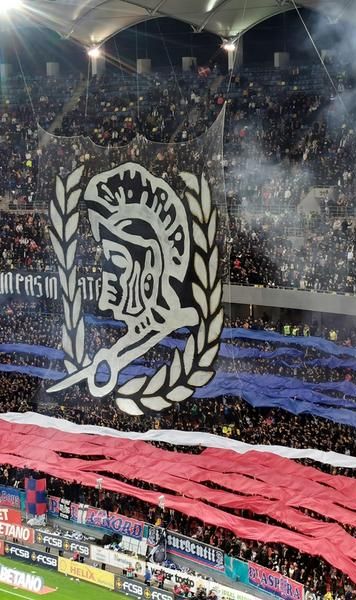 Rapid, plângere penală împotriva fanilor FCSB-ului după derbiul de pe Arena Națională