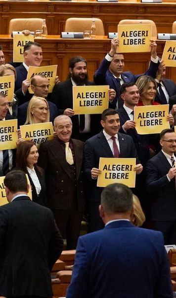 Cine ne apără de abuzuri și corupție!  În Parlament, Becali va fi în comisia juridică, dar și în cea care  cercetează fapte  din cauza cărora a făcut închisoare