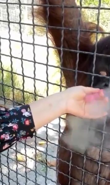 Gest șocant   O sportivă din Rusia   a indignat  întreaga lume, după un clip postat pe internet » Ce a făcut 