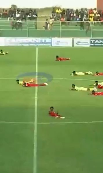 Albinele au provocat haos!    FOTO.  Un meci a fost întrerupt după ce   un roi de insecte a invadat terenul  » Cum s-au protejat jucătorii