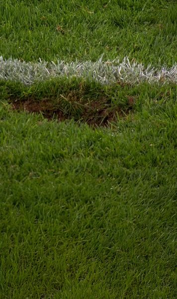 Întrerupt de groapa din gazon    FOTO.     Nu s-a jucat  timp de 5 minute în Austria - Cipru: au adus pământ cu găleata, pe final de meci