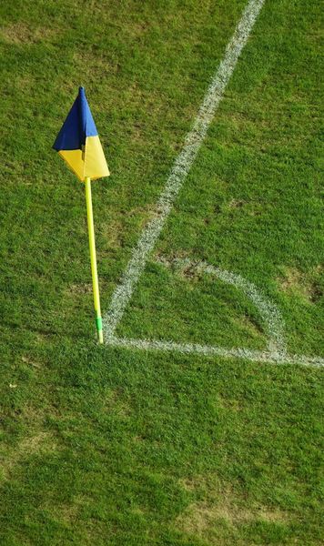 Probleme pe „Ilie Oană”!      FOTO.    Cum arată   gazonul  la derby-ul dintre Petrolul și Rapid