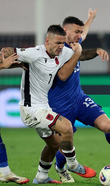 Nemaivăzut!    Selecționerul sârb și-a anunțat demisia pe bancă,  în timpul jocului cu Albania: „Nu mai are sens”