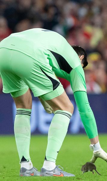 Moment bizar în preliminarii    FOTO.  Meciul Țara Galilor - Belgia, întrerupt după ce   un șobolan  a pătruns pe gazon: „Omul meciului!”