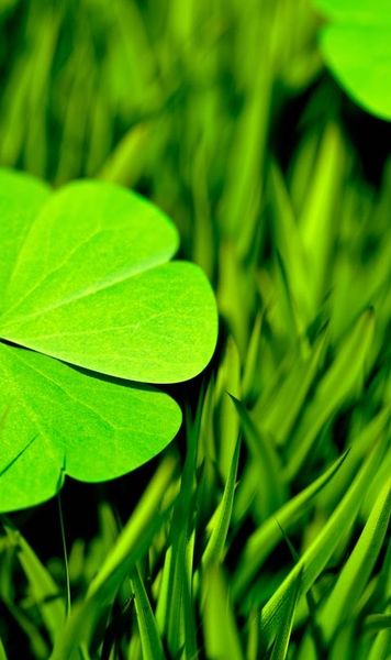 Superstiții și ritualuri  în căutarea   norocului : competiții sportive vs. jocuri de cazino