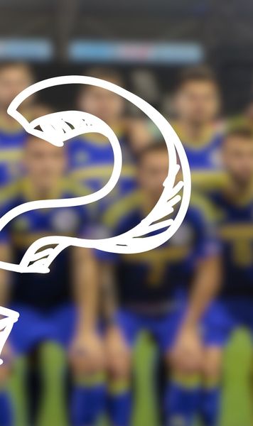 Cu cine ne atacă Bosnia!  Sursele   GOLAZO.ro  au aflat surprizele pregătite de rivalul lui Lucescu la Zenica:   6 schimbări!