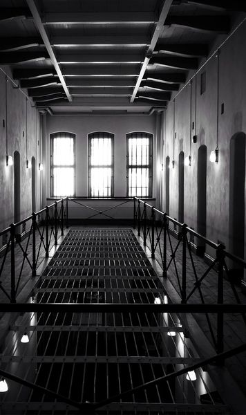 „Alții au făcut mult mai mult rău”    VIDEO:  Legende ale sportului militează pentru eliberarea   celui mai cunoscut prizonier  britanic