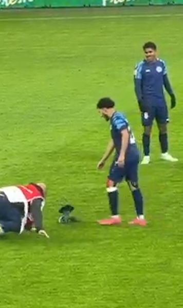 Scene comice pe Arenă    VIDEO+FOTO.     Un porumbel  a întrerupt Dinamo - Metaloglobus și le-a dat mari bătăi de cap stewarzilor