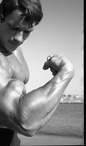 Dopajul, parte din cariera lui Arnold   Celebrul actor și culturist vorbește despre   utilizarea substanțelor interzise  și avertizează: „Oamenii mor”